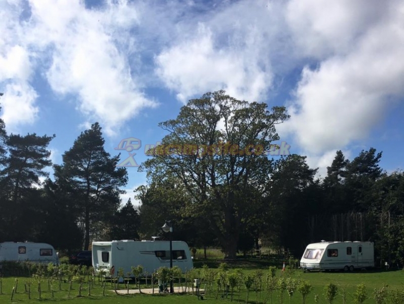 Sycamore Park Caravan Park And Campsite