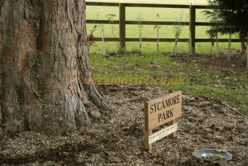 Sycamore Park Caravan Park And Campsite