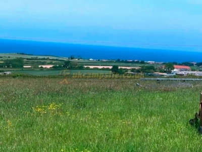 Selly Hill Farm Campsite