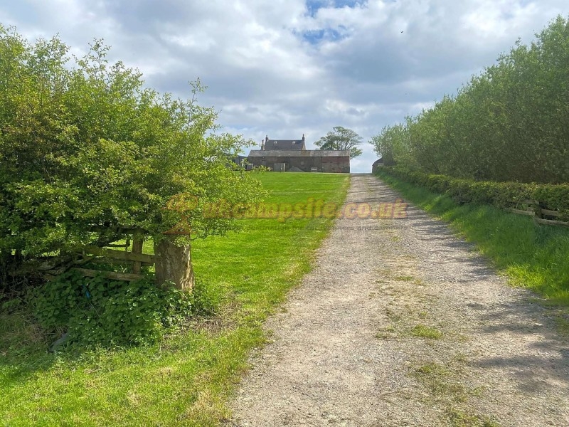 Selly Hill Farm Campsite