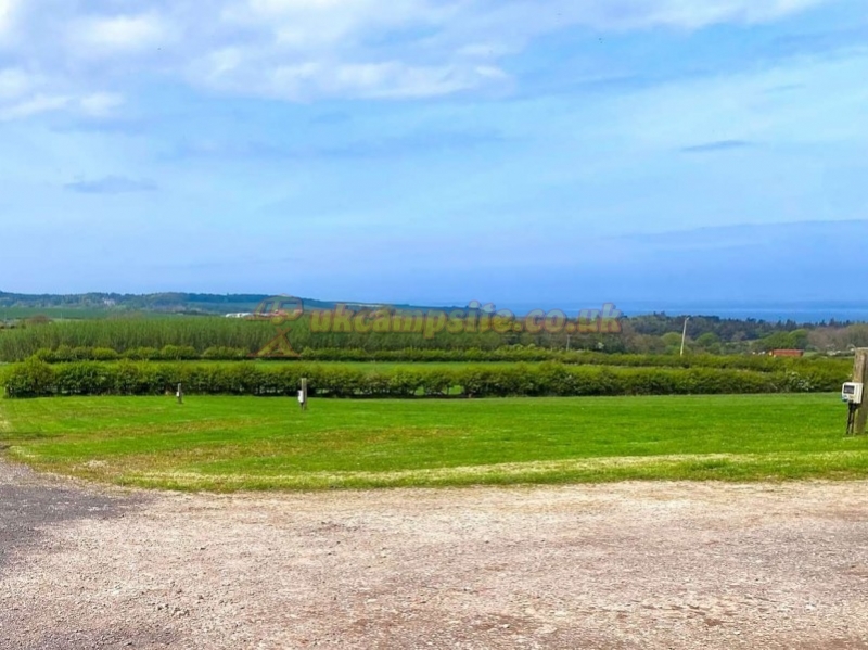 Selly Hill Farm Campsite
