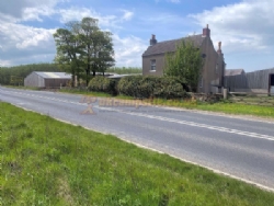 Selly Hill Farm Campsite
