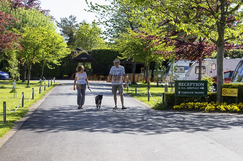 Oakdown Holiday Park