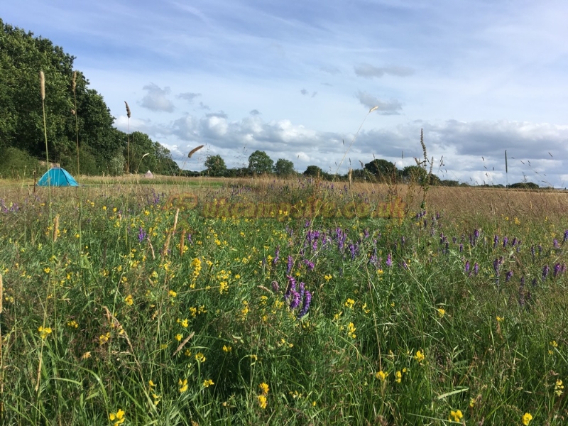 Kingsettle Camping Retreat