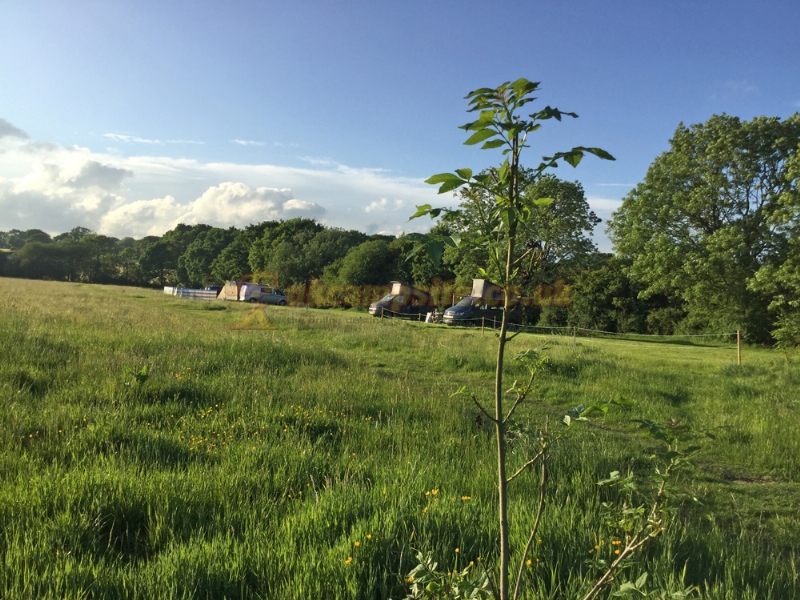 Kingsettle Camping Retreat