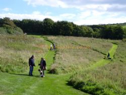 Bolberry House Farm Camping And Caravanning Park