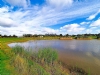 The Lawns And Lakes Camping Site