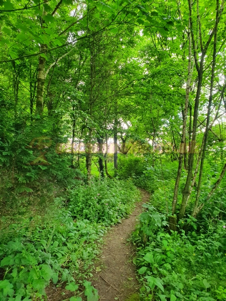 Lane End Camping
