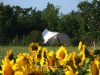 Camping Camp Redon Camping Camp Redon