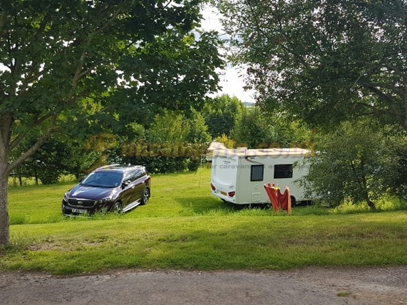 Ilex Farm Certificated Site