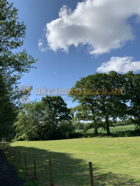 Forest Oak Farm