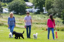 Whitehill Country Park