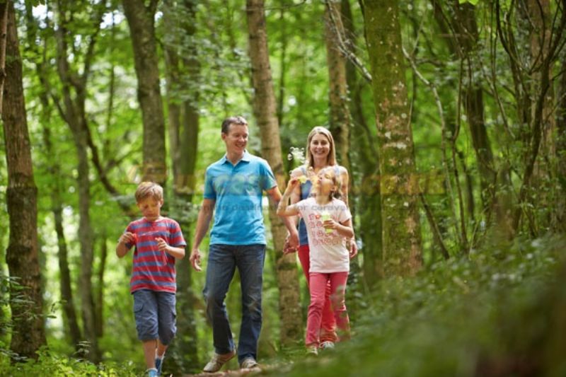 Whitehill Country Park