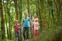 Whitehill Country Park