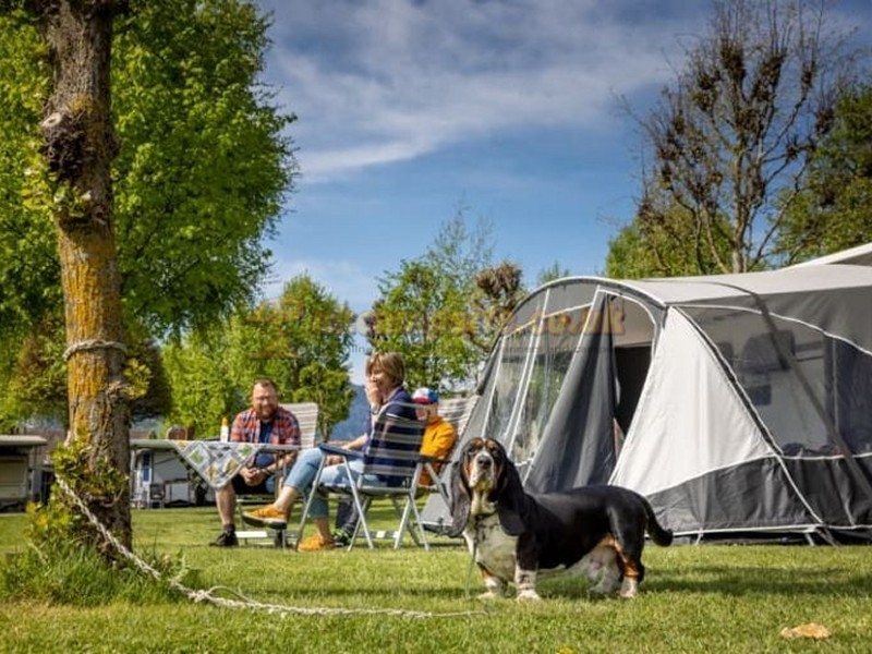 Camping Lazy Rancho Adults Only