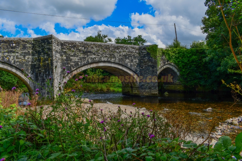 Harford Bridge Holiday Park