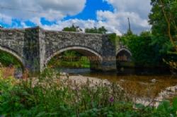 Harford Bridge Holiday Park