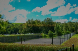Harford Bridge Holiday Park