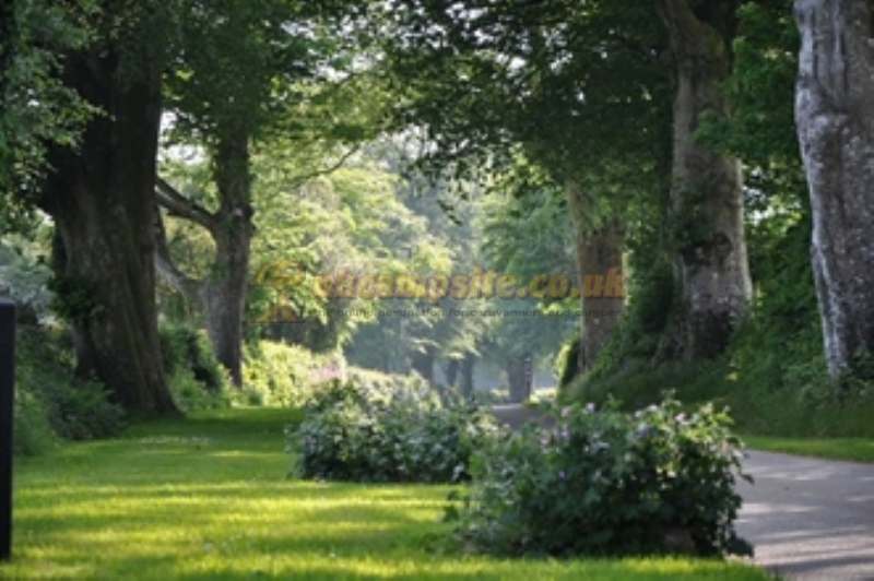 Woodovis Park