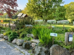 Langstone Manor Holiday Park