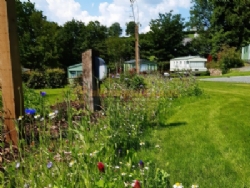 Langstone Manor Holiday Park