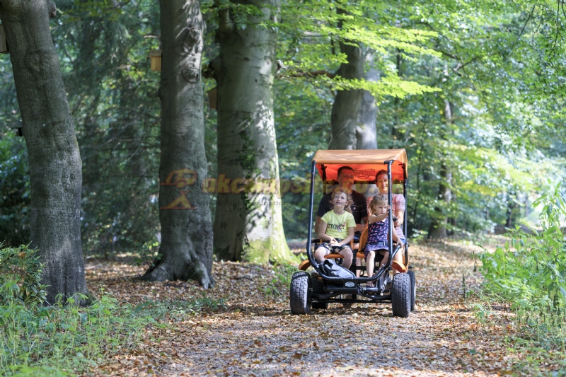 Rcn Het Grote Bos