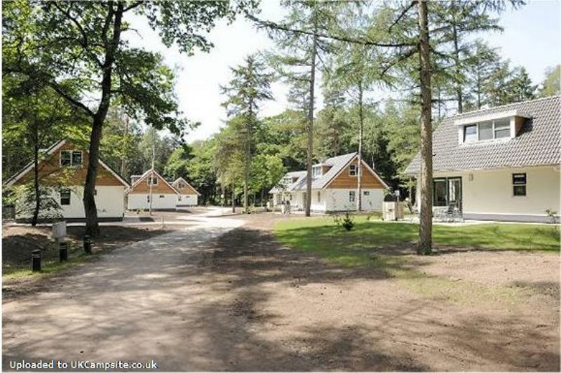 Rcn Het Grote Bos