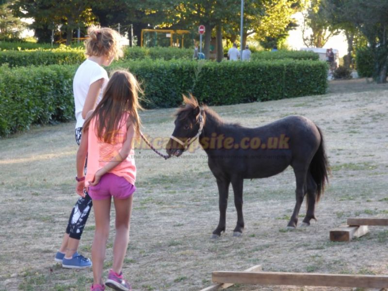 Camping La Porte D Autan