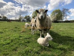 Field House Farm Certificated Location