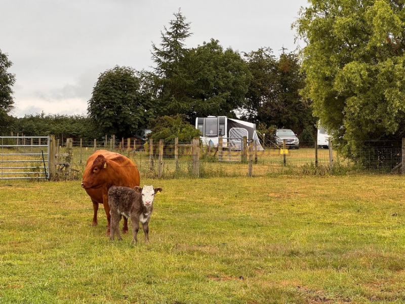 Field House Farm Certificated Location