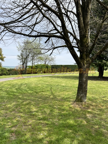 Zeacombe House Caravan Park