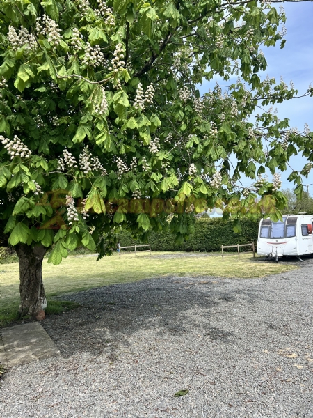 Zeacombe House Caravan Park