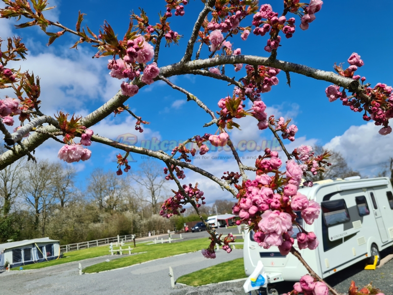 Walnut Cottage Holiday And Caravan Park
