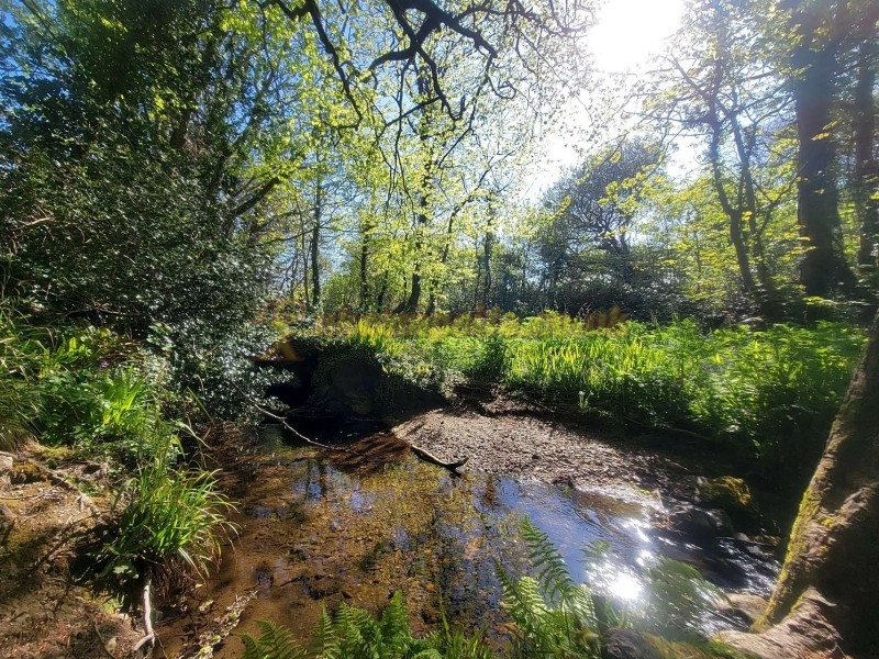 Cambrose Camping And Touring Park