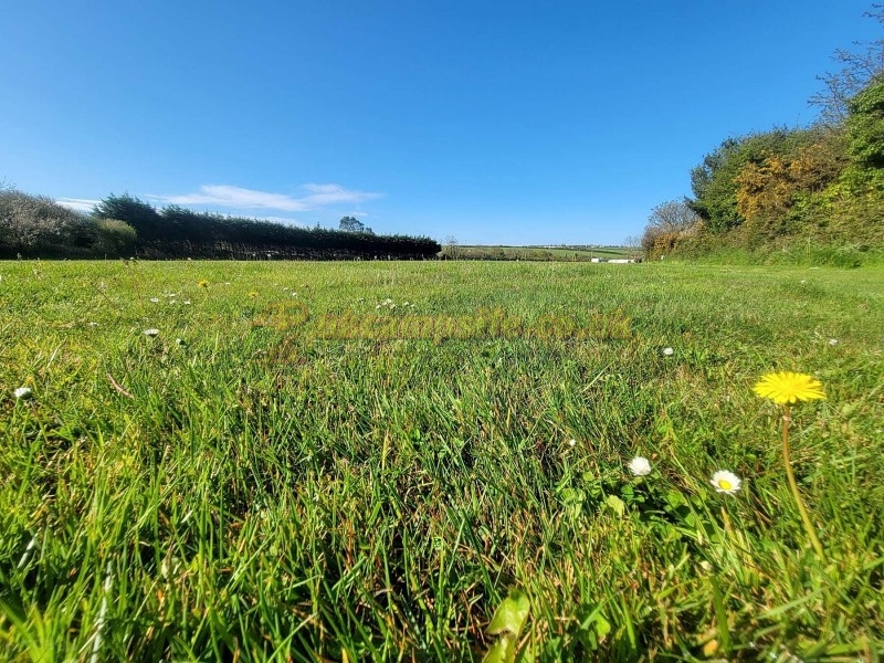 Cambrose Camping And Touring Park