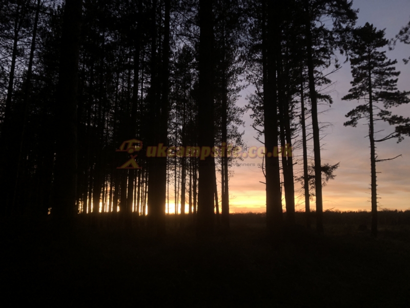Kings Forest Caravan Park