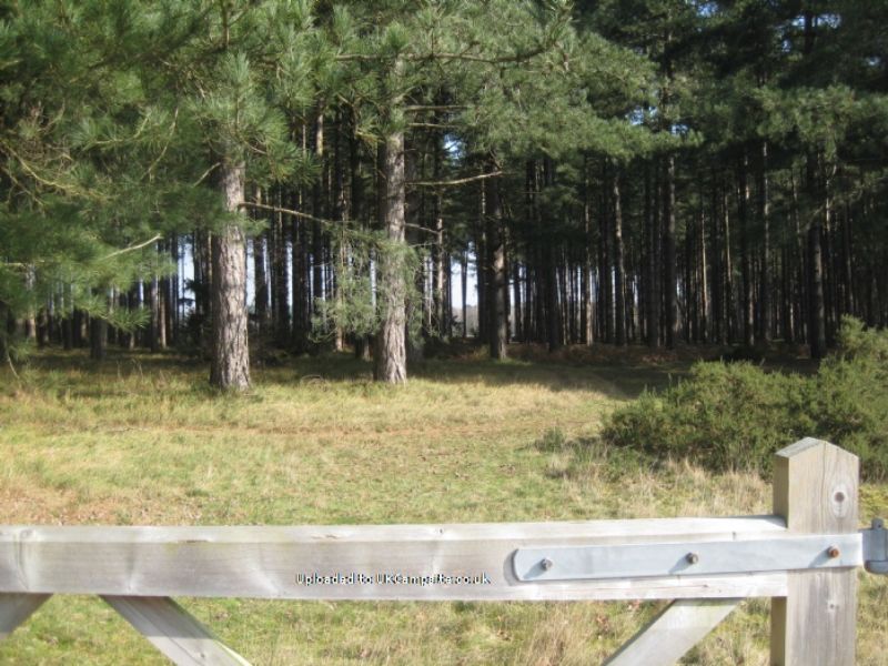 Kings Forest Caravan Park