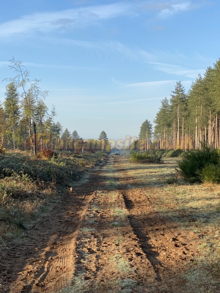 Kings Forest Caravan Park