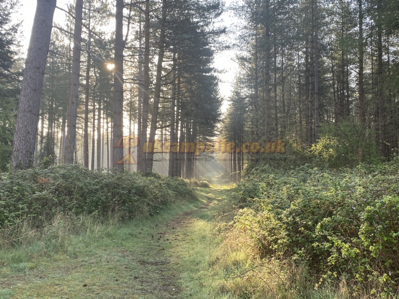 Kings Forest Caravan Park