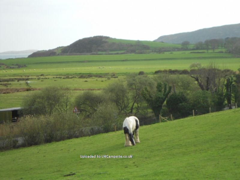 Tan Y Fron Caravan Site