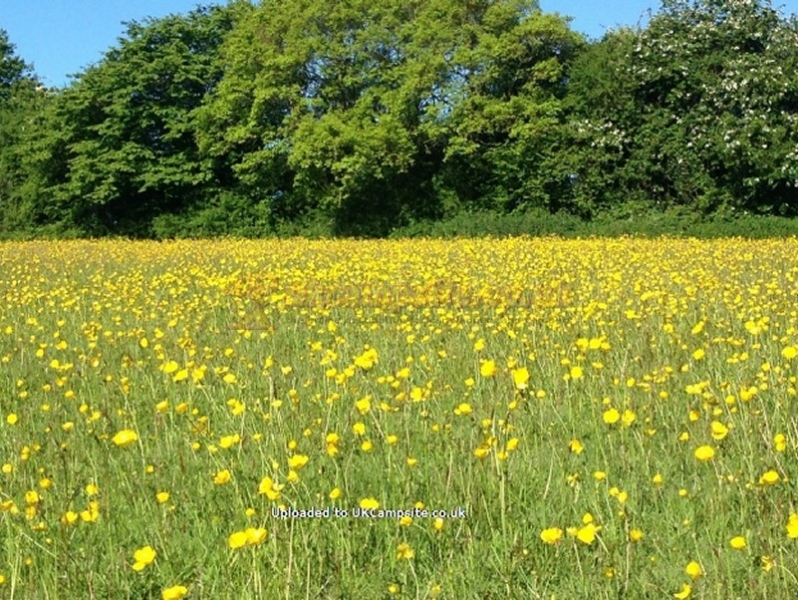 Hale Farm Campsite