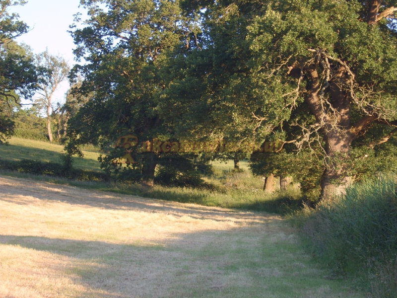 Lower Liston Caravan Park Certificated Location