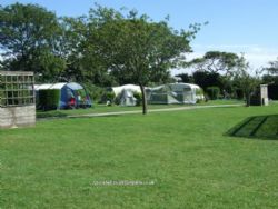 Tregarton Park