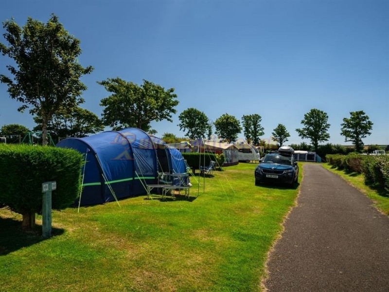 Tregarton Park