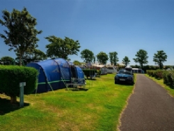 Tregarton Park