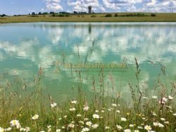 Camping Lune Sur Le Lac
