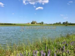 Camping Lune Sur Le Lac