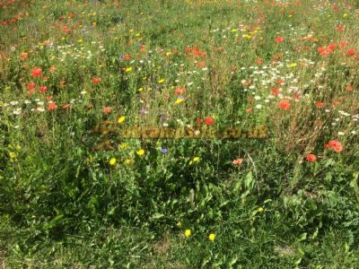 Formakin Farm