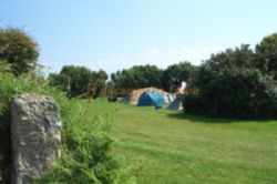 Tower Park Caravans And Camping