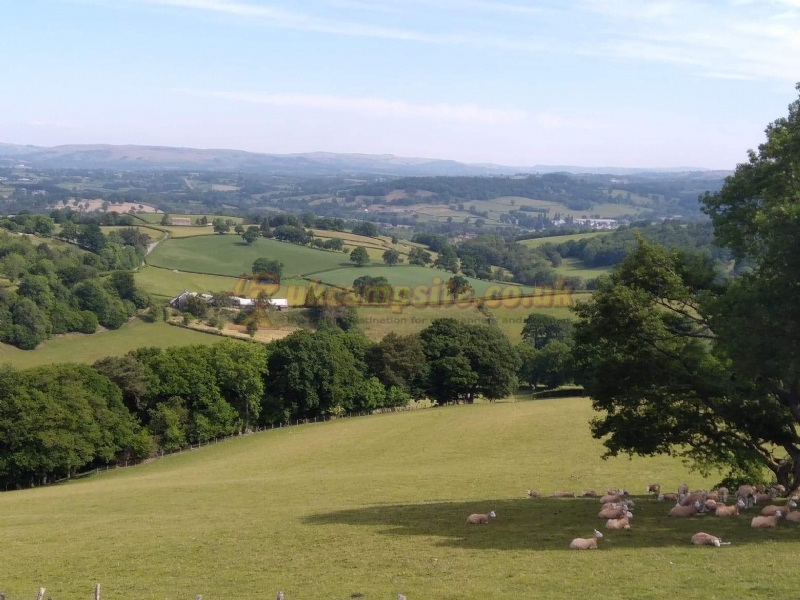 Noyadd Farm